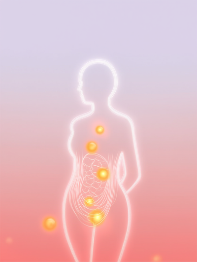 Support the harmony between your gut and feminine microbiomes